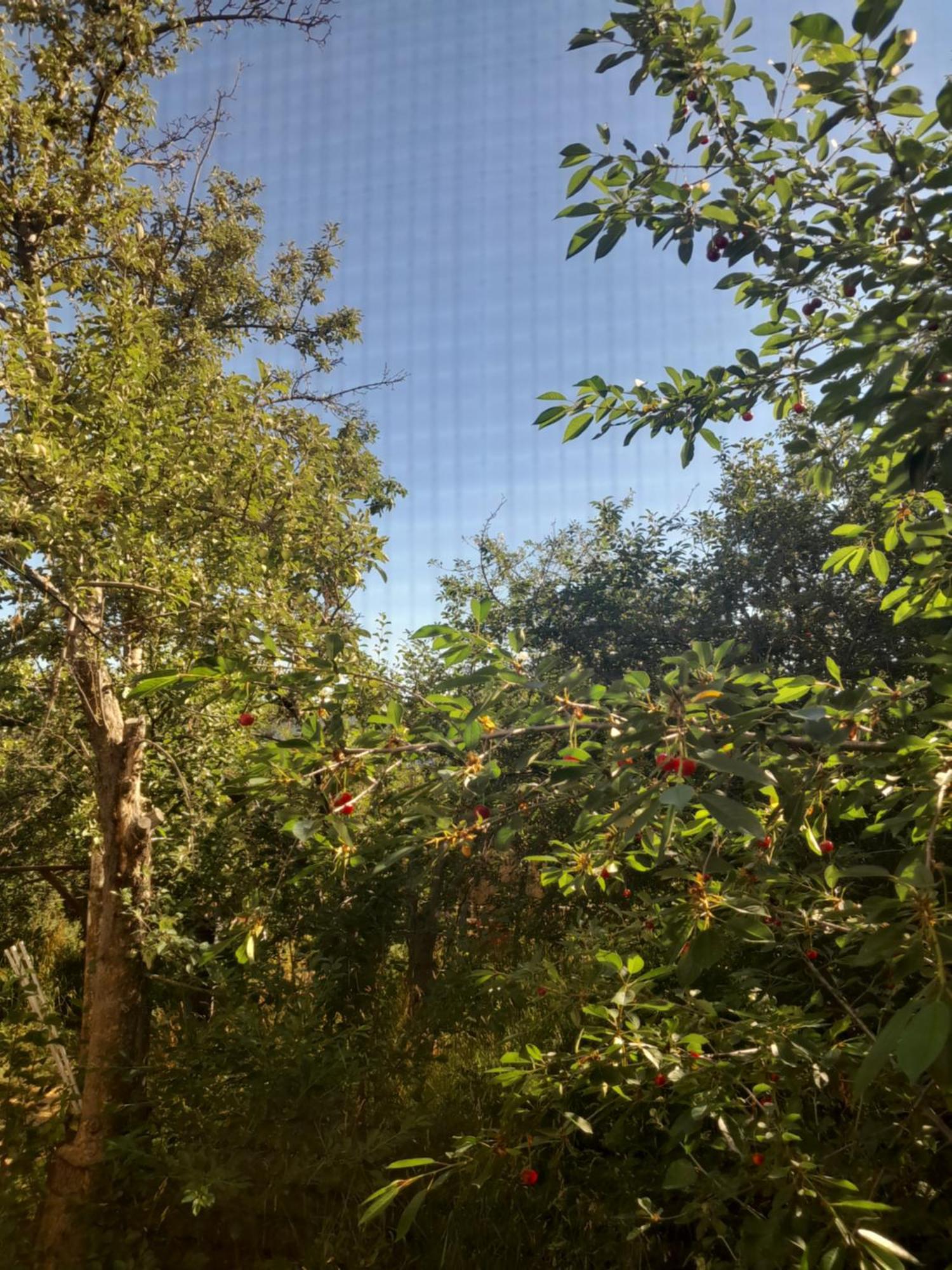 Waterfall In The Yard 卡拉科尔 外观 照片