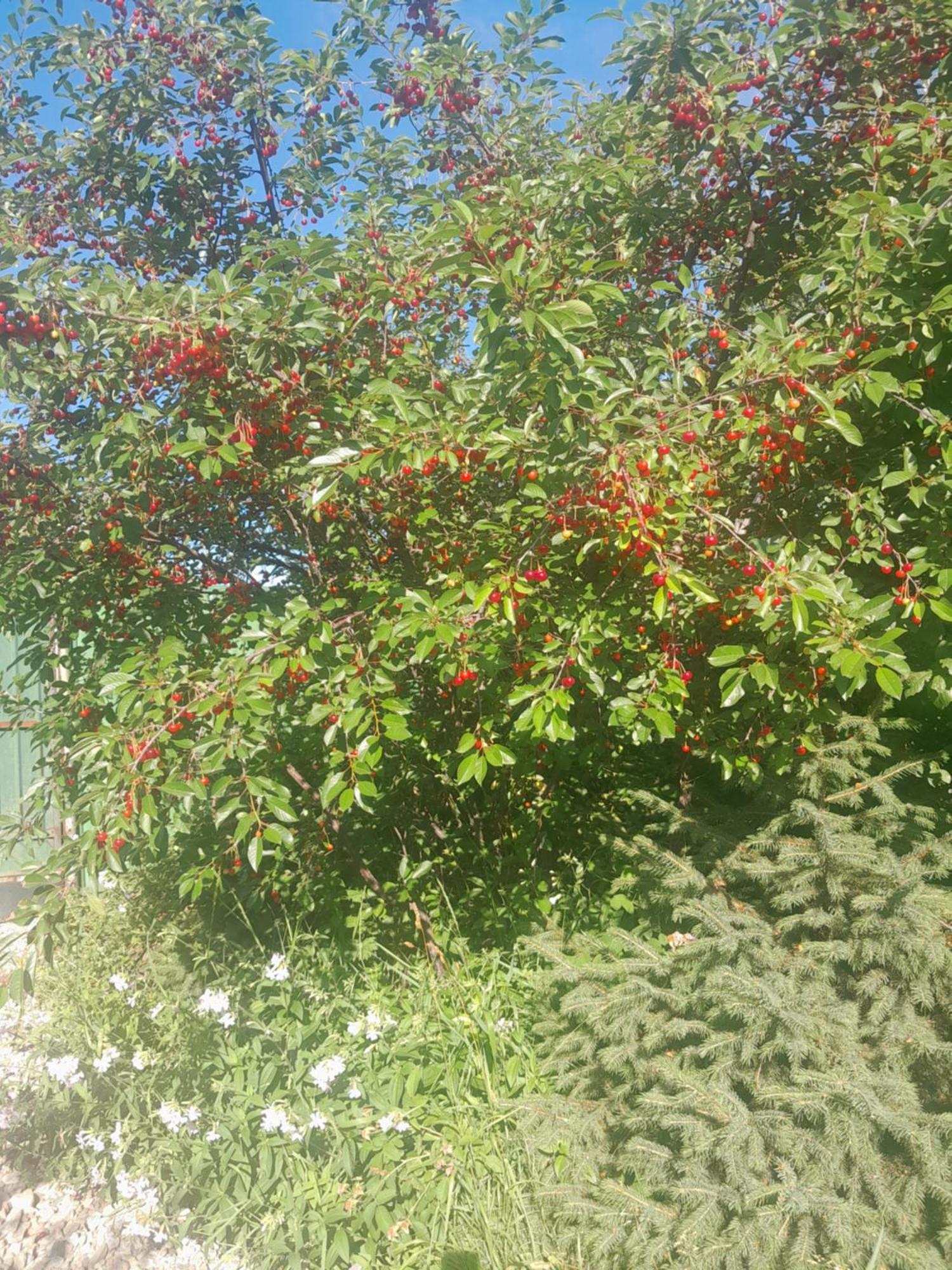 Waterfall In The Yard 卡拉科尔 外观 照片