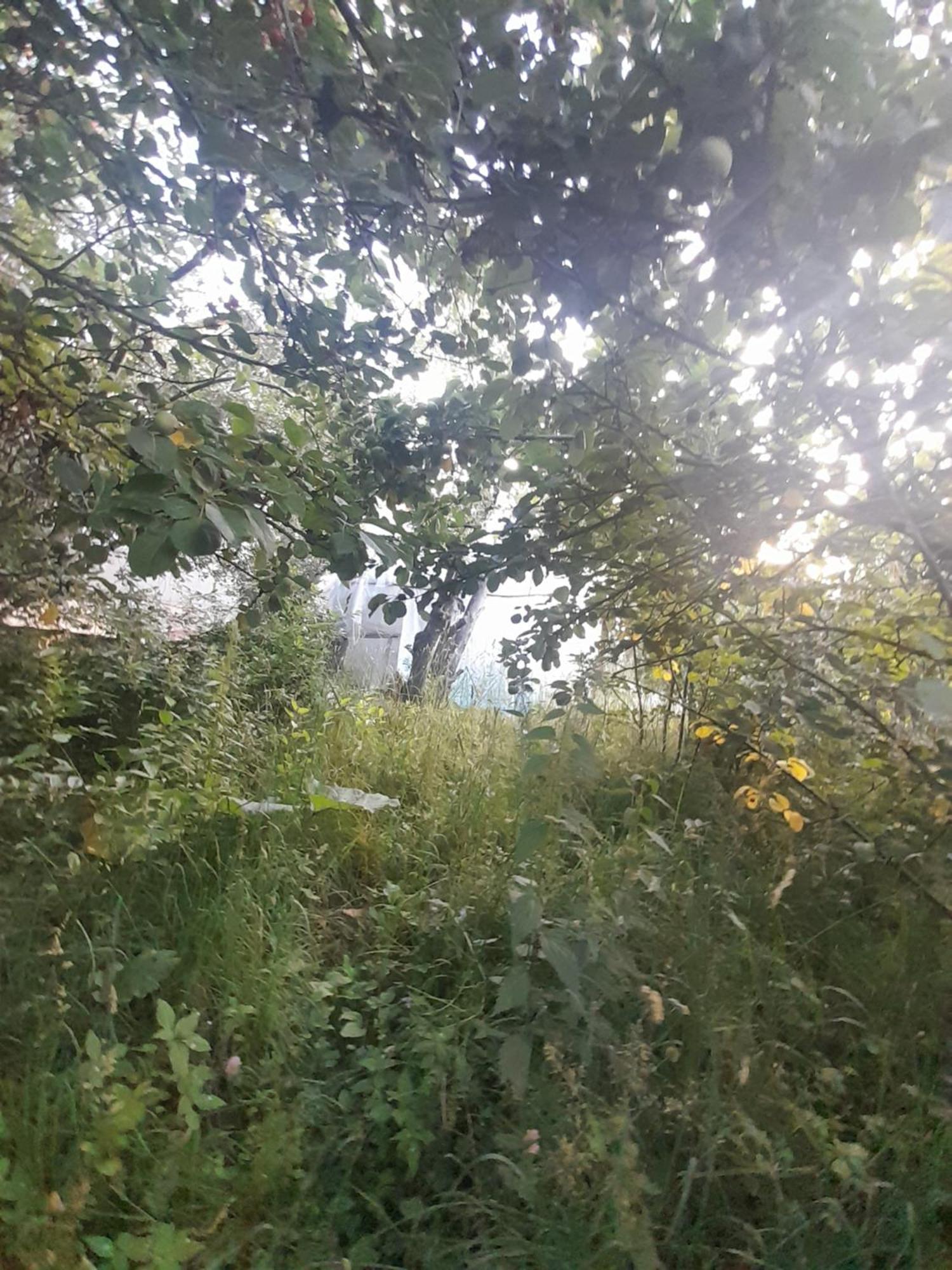 Waterfall In The Yard 卡拉科尔 外观 照片